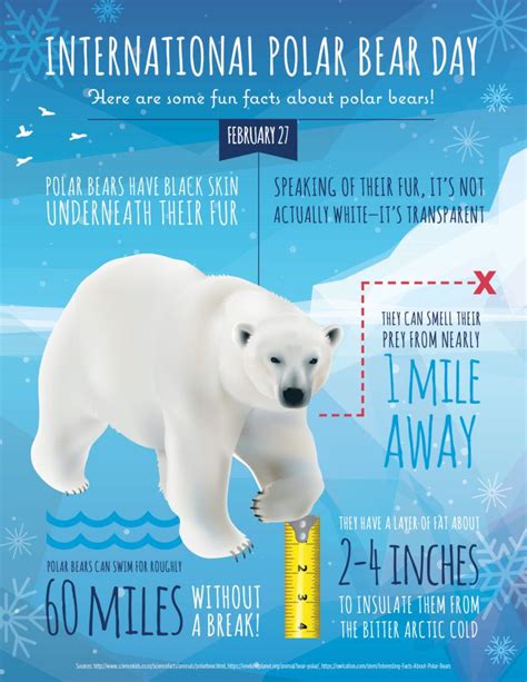 International Polar Bear Day Is February 27 Infographic Found On Bing