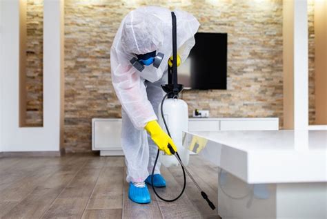 Disinfecting Services And Decontaminating Services Pro 2 Clean