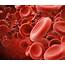 Blood Clot Awareness Could Save Your Life  Health Insight