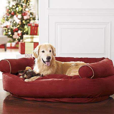 Each dog bed review below highlights the bed's individual quirks and qualities so you're able to make an informed buying decision on which will best suit the suede covering is soft and fluffy, providing your dog with the comfort it needs. Cute Pet Beds for Dogs and Cats | Style & Living