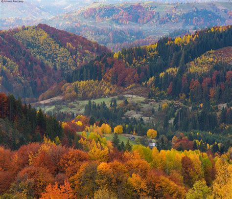 🇺🇦 The Village Of Yavoriv In Autumn Carpathians Ukraine By