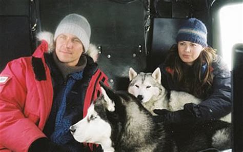 You get a true story only told by someone rattling off headlines and first not that he gets much help from the supporting cast or writer dave digilo. Paul Walker and Moon Bloodgood in Eight Below (2006)