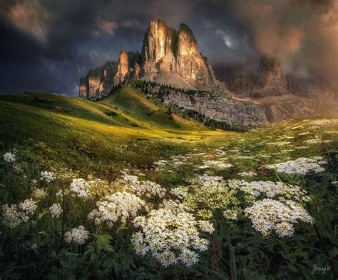 Elysian Field Spring Blossom Field In Dolomite Italy Landscape