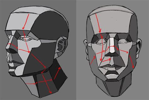 How To Draw A Face Facial Proportions Planes Of The Face Human