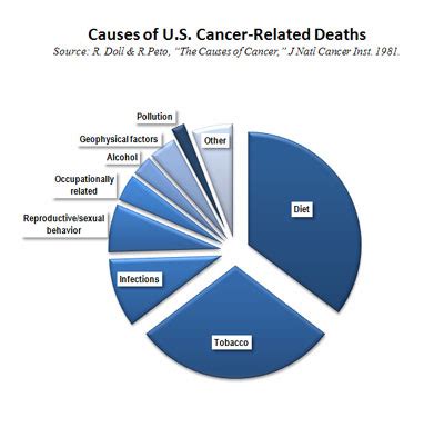Maybe you would like to learn more about one of these? Environmental Factors - SafeChemicalPolicy.org