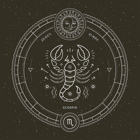 Of course, it's normal to experience fear of any kind but people with carcinophobia often take their fear to the extreme and when that fear impacts their everyday life it becomes a source for concern. Vintage thin line scorpio zodiac sign label. retro vector ...