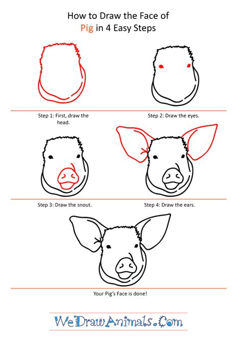 How To Draw A Pig Face For Kids Printable Step By Step Drawing Sheet