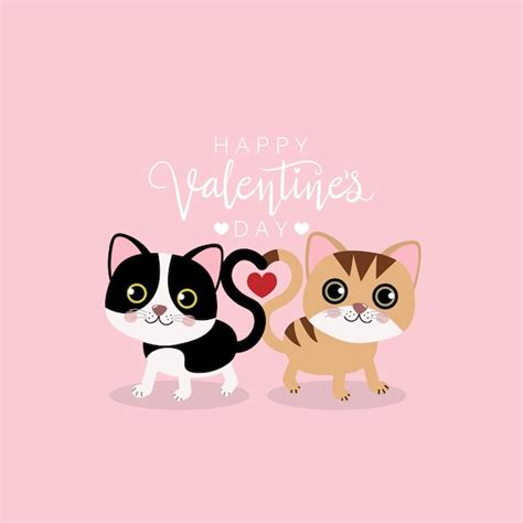 Happy Valentines Cats Cat Valentine Cute Happy 4f0