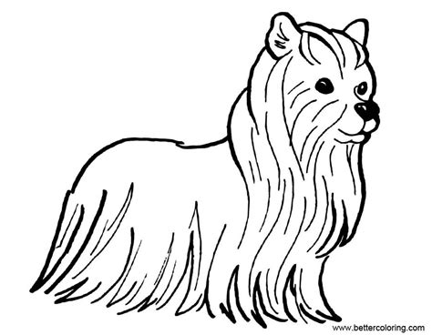 Top 25 dog coloring pages for kids: Yorkshire Terrier Coloring Pages - Free Printable Coloring ...
