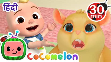 Lost Hamster Cocomelon बच्चों के कार्टून्स Nursery Rhymes