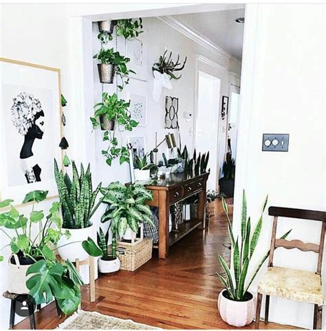 I Love This Space Bright And Lots Of Greenery Home