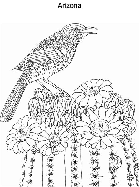 The awf was formed in 1923 by conservation minded arizonans, making it the. Arizona state flower and state bird | Bird coloring pages ...