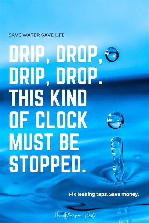 55 Best Quotes And Slogans On Saving Water With Images Water