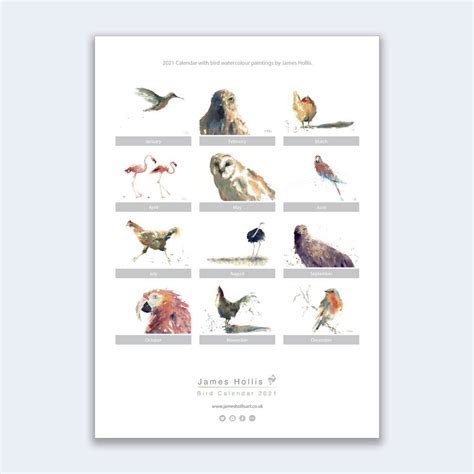 2021 Bird Calendar By James Hollis Art