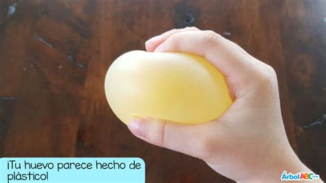 Experimento El Huevo Que Rebota Experimentos Huevos En Vinagre Huevos