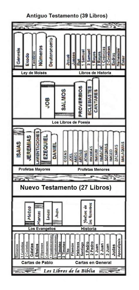 Sabiasorden De Los Libros De La Biblia El Evangelista Mexicano