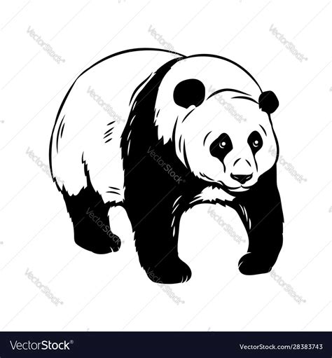Panda Bear Icon Royalty Free Vector Image Vectorstock