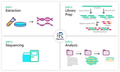 Next-generation sequencing (NGS) overview | iRepertoire, Inc.