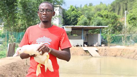 Ba ku sani ba yadda za a fara gabatarwa ko yadda za a gabatar da kanku a cikin gabatarwa? How to Start Duck Farming for Beginners? [Yadda Ake Fara ...