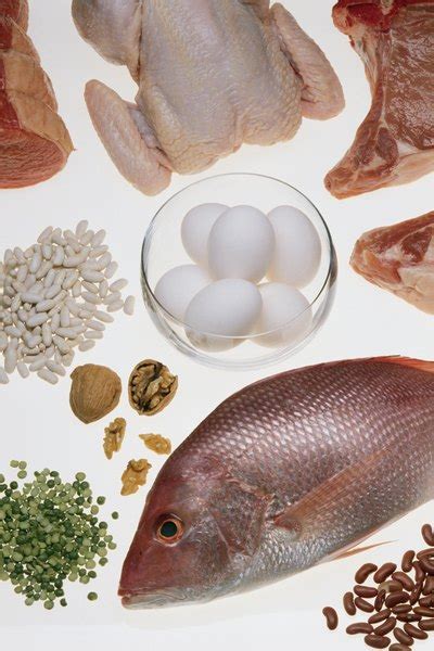 Different foods contain different amounts of. How Much Protein Should You Have Pre-Workout? | Healthy ...