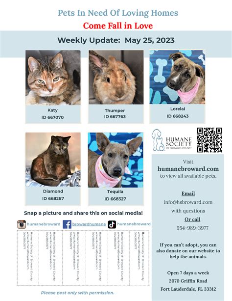 Weekly Pet Flyer: May 25, 2023 - Humane Society of Broward County