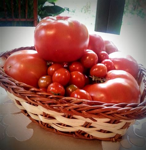 Tomato Recipe for Summer - Anne's Tomato Pie - Gramercy Mansion