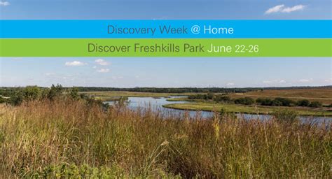 Homepage Freshkills Park Alliance