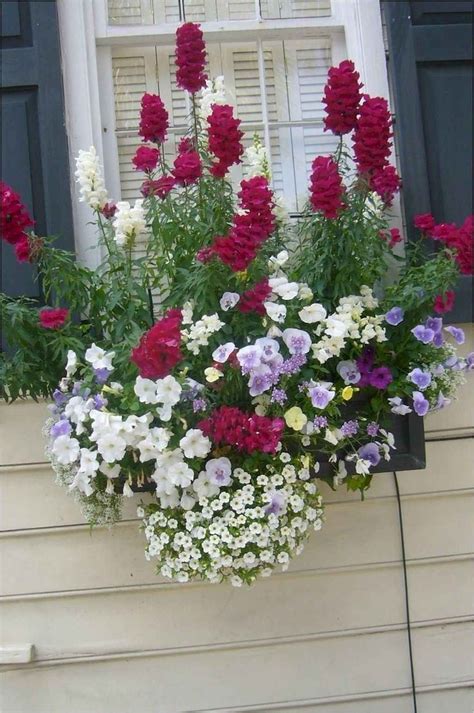 42 Fresh And Easy Summer Container Garden Flowers Ideas Window Box