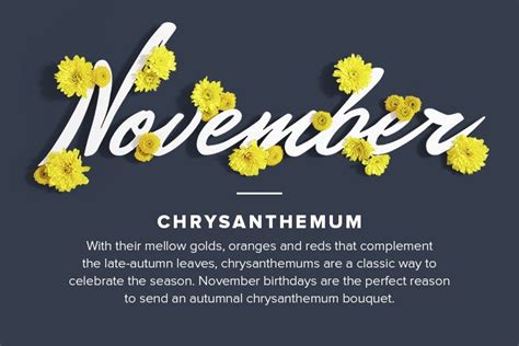 Pin By Cassy Chester On November November Birth Flower Birth Month