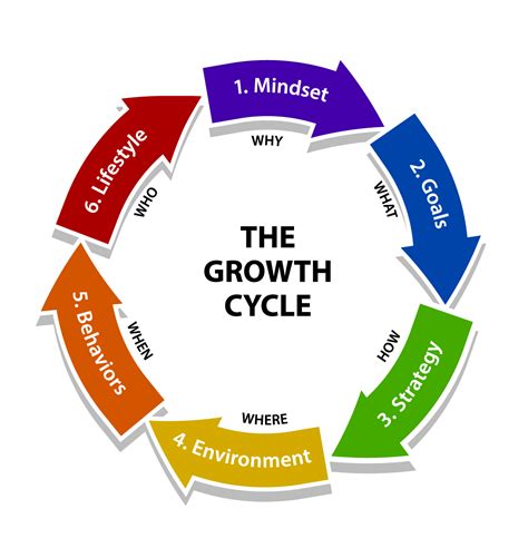 The Growth Cycle Inspired To Be Healthy Wellness Expert