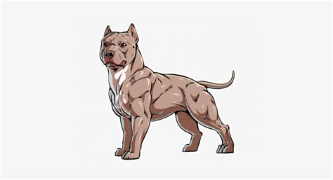 How To Draw A Pitbull Face Bmp Pants