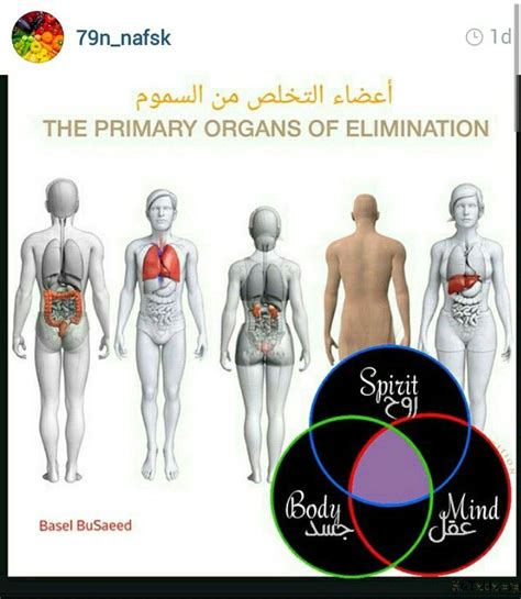 Check spelling or type a new query. Pin on صحة