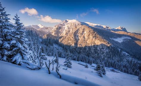 Nature Landscape Winter Snow Mountain Forest Sunset