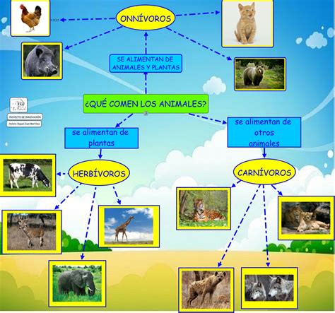 Suculentas, crasas, crasuláceas, cactus y cactáceas ¿sabes cuál es la diferencia? QUÉ COMEN LOS ANIMALES