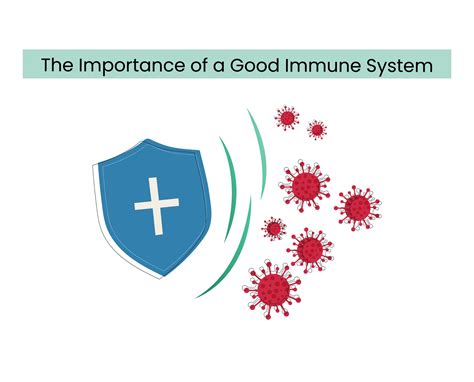 The Importance Of A Good Immune System Danai Medi Wellness