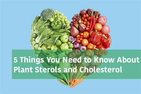 5 Things To Know About Plant Sterols And Cholesterol