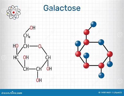 Galactose Alpha D Galactopyranose Milk Sugar Molecule Cyclic Form