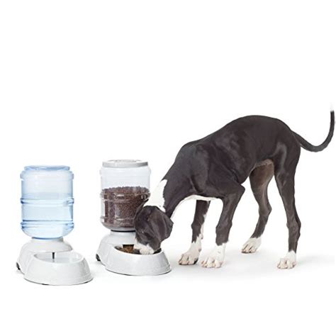 Best Automatic Pet Food Dispensers Sturdy Reliable And Pet Proof