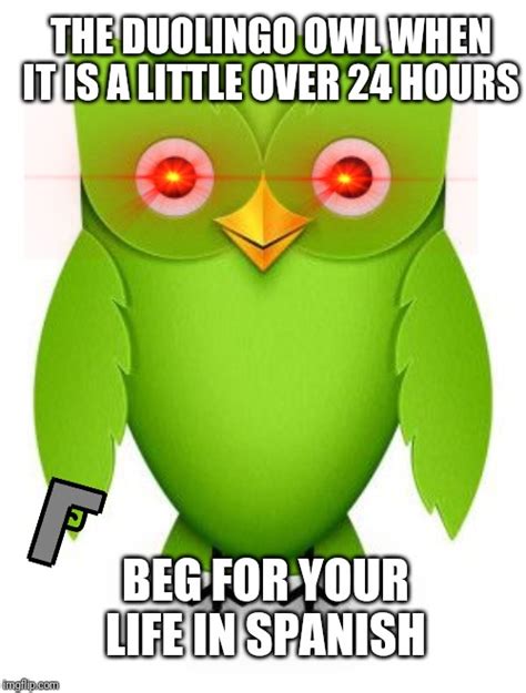 Duolingo Bird Memes And S Imgflip