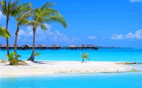 Tropical Beach Paradise Wallpapers Wallpaper Cave