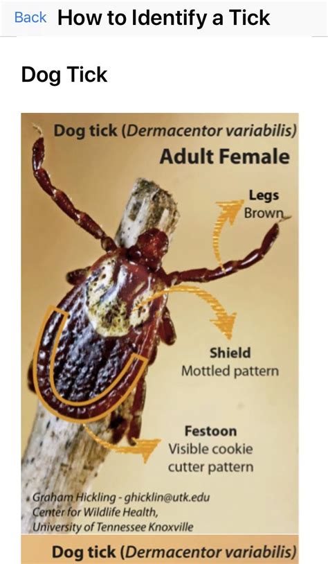 Do more with ticktick + shift. Wisconsin researchers release new app to study what makes ...