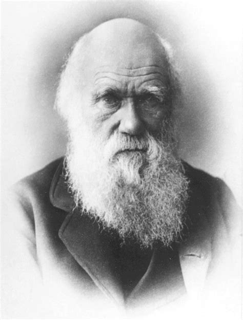 Darwin Facts Charlesdarwin Darwin Evolution Charles Darwin Quotes
