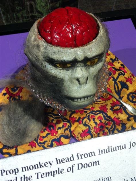 How To Sculpt Fake Monkey Brains La Indiana Jones Indiana Jones