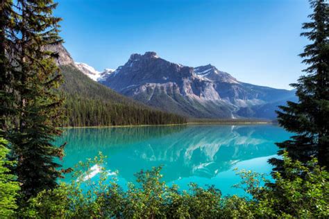 3500 Emerald Lake Stock Photos Pictures And Royalty Free Images Istock