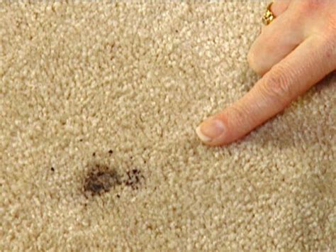 Visit & look for more results! How to Repair Carpet | how-tos | DIY