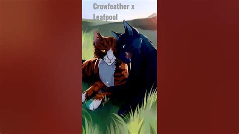 crowfeather x leafpool youtube