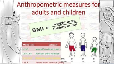 Anthropometric Measurements For Adults And Children Youtube