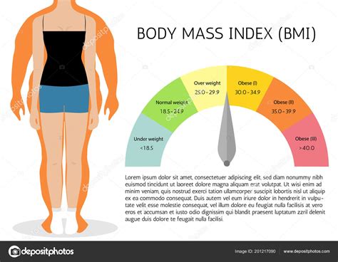 Bmi Body Mass Index Infographic Chart Vector Afbeelding
