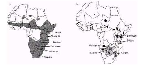 African Wild Dog Habitat Maps