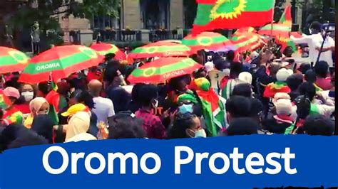 Ethiopia Oromo Community Members Hold Another Round Of Protest In Washington Dc July 17 2020